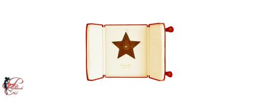 Stella_Christian_Dior_Perfettamente_chic