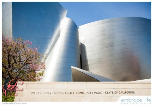 marriage_proposal_perfettamente_chic_1