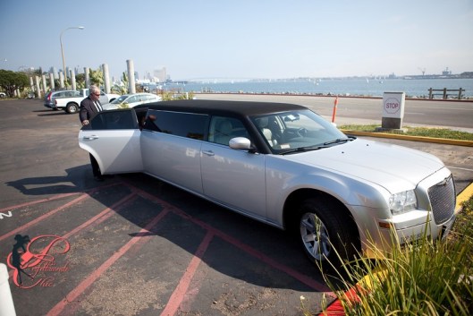 Proposta_matrimonio_perfettamente_chic_6