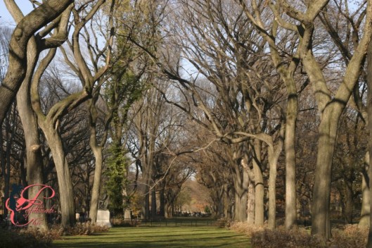 central_park_proposal_1_perfettamente_chic