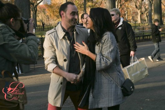 central_park_proposal_2_perfettamente_chic