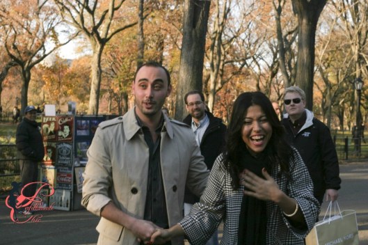 central_park_proposal_3_perfettamente_chic