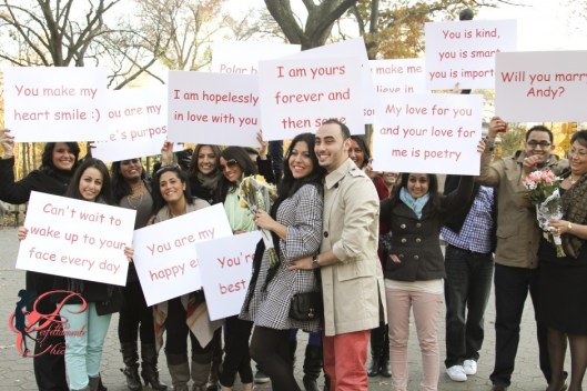 central_park_proposal_5_perfettamente_chic