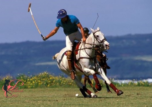 polo_Ralph_Lauren_perfettamente_chic
