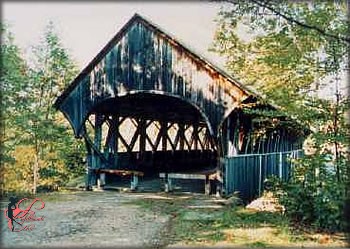 ponte_artista_perfettamente_chic