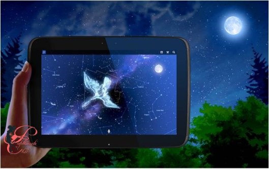 Mappa_Stellare_perfettamente_chic