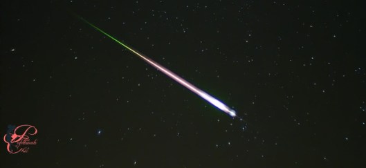 stelle_cadenti1_perfettamente_chic