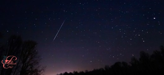 stelle_cadenti_perfettamente_chic