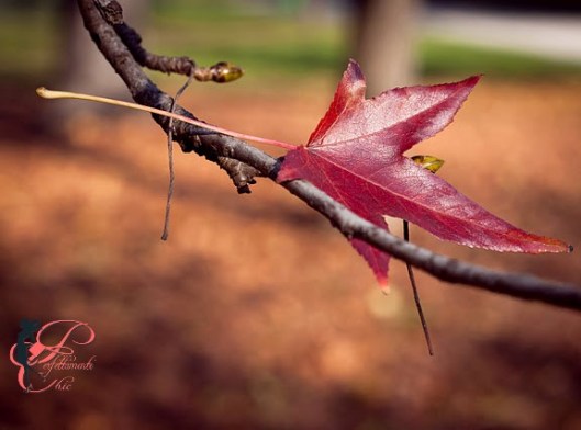 autunno_perfettamente_chic
