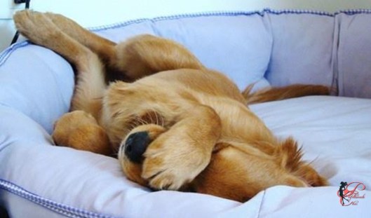 lunedì_perfettamente_chic_2