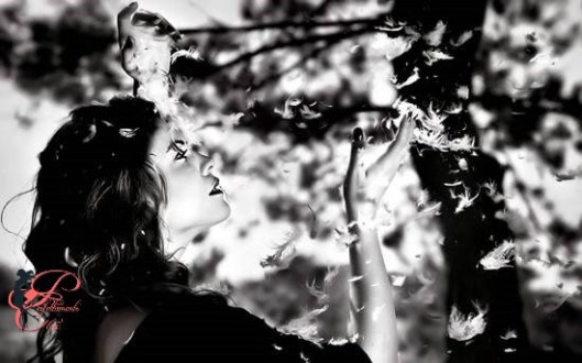 vedere_te_perfettamente_chic