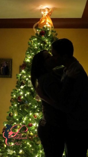 albero_di_natale_o_presepe_perfettamente_chic_3