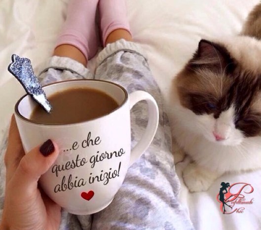 buongiorno_perfettamente_chic