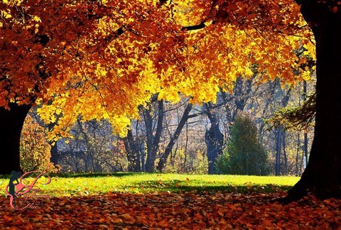 san_martino_perfettamente_chic_2