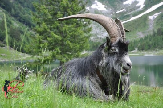 san_martino_perfettamente_chic_4