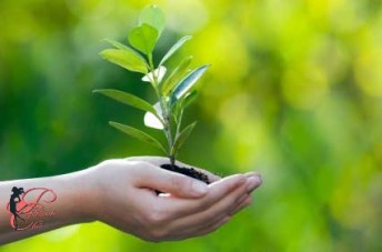 matrimonio_tedesco_perfettamente_chic_1