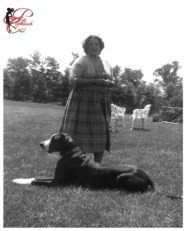 tina_leser_perfettamente_chic_