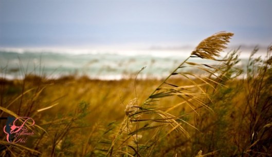 mi_sento_un_giunco_perfettamente_chic