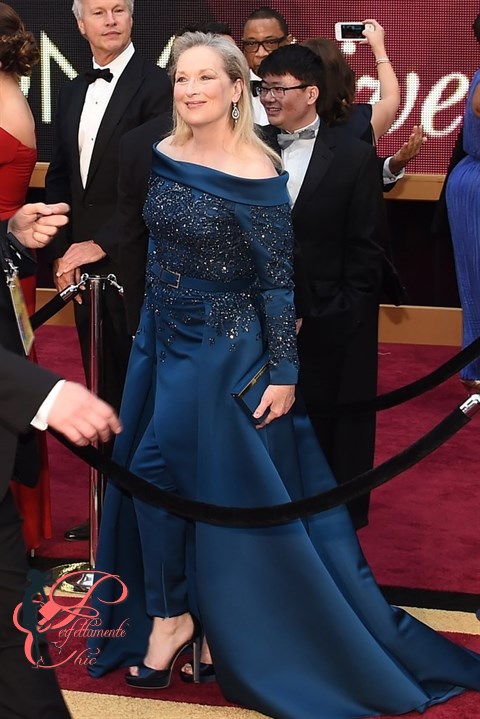 Meryl Streep_oscar_2017_perfettamente_chic.jpg
