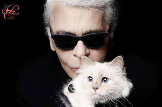 Karl_Lagerfeld_Choupette_perfettamente_chic_