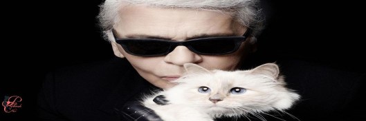 Karl_Lagerfeld_perfettamente_chic