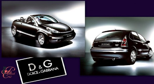 Dolce&Gabbana_Perfettamente_Chic_C3 Pluriel.jpg
