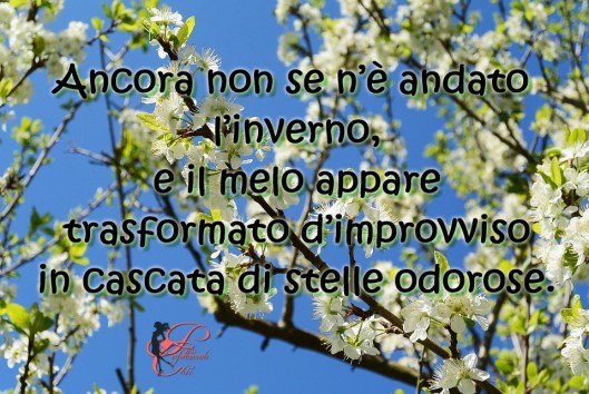 Primavera_perfettamente_chic_melo.jpg