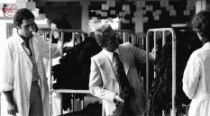 Annabella_perfettamente_chic_giuliano_ravizza_