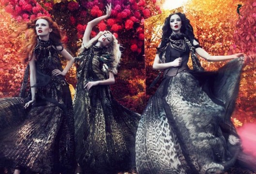 Roberto_Cavalli_perfettamente_chic_0