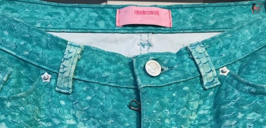 Roberto_Cavalli_perfettamente_chic_Simonetta