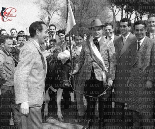 Vincenzo_Ferdinandi_perfettamente_chic_Antonio_Privitera