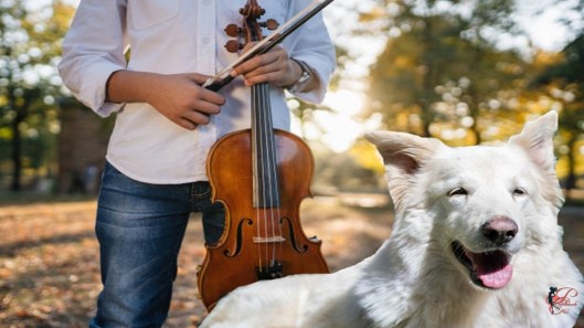 violino_perfettamente_chic_ragazzo