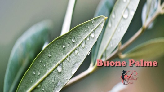 ulivo_perfettamente_chic